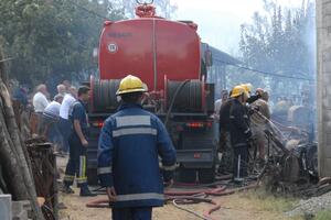 Tivat: Izgorjelo oko 5 hektara borove šume i niskog rastinja