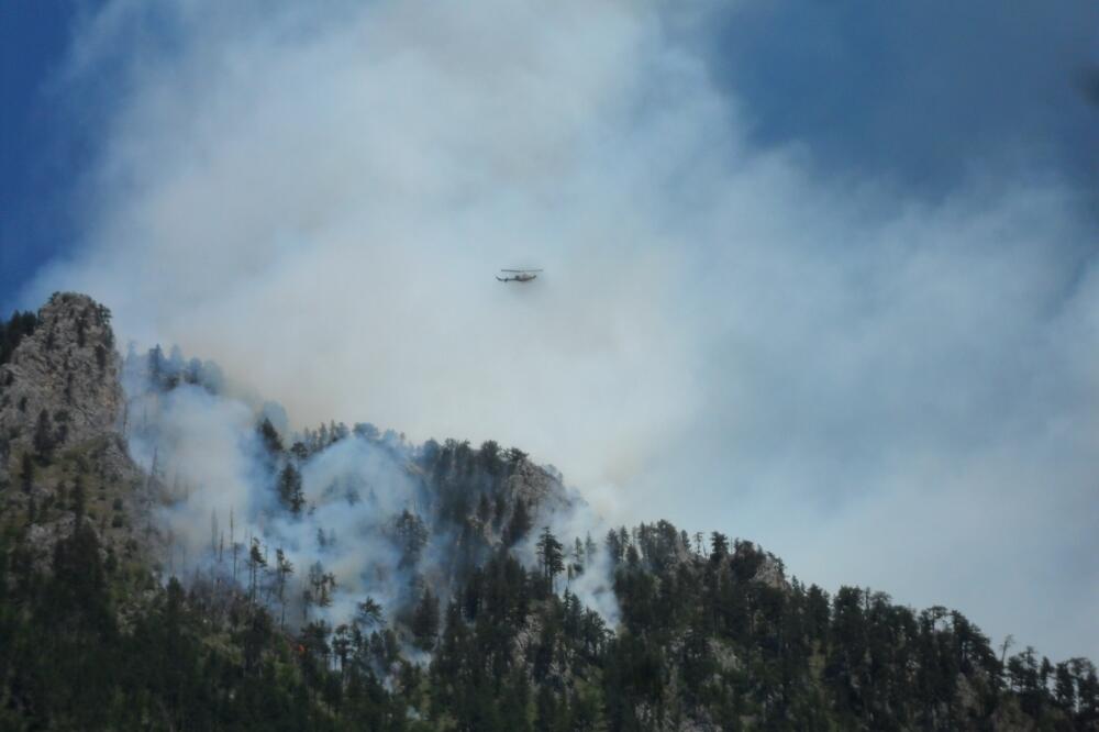 Požar Mojkovac, Đurđevića Tara, Foto: Dragana Šćepanović