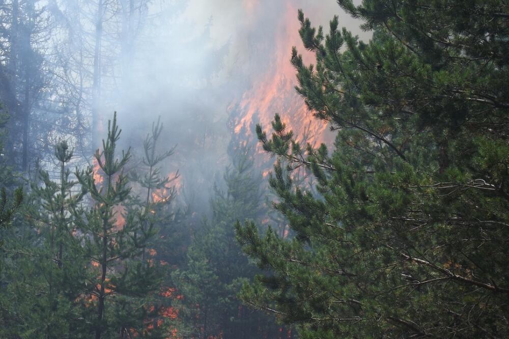 Pljevlja, požar, Foto: Goran Malidžan