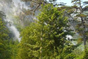 Teška noć u Mojkovcu: Požari i dalje bukte