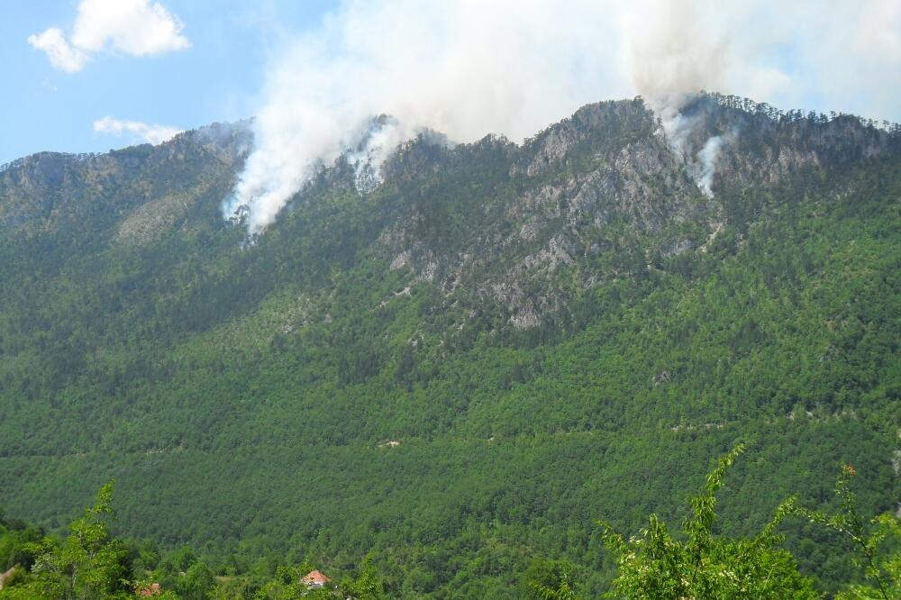Požar Mojkovac, Đurđevića Tara, Foto: Dragana Šćepanović
