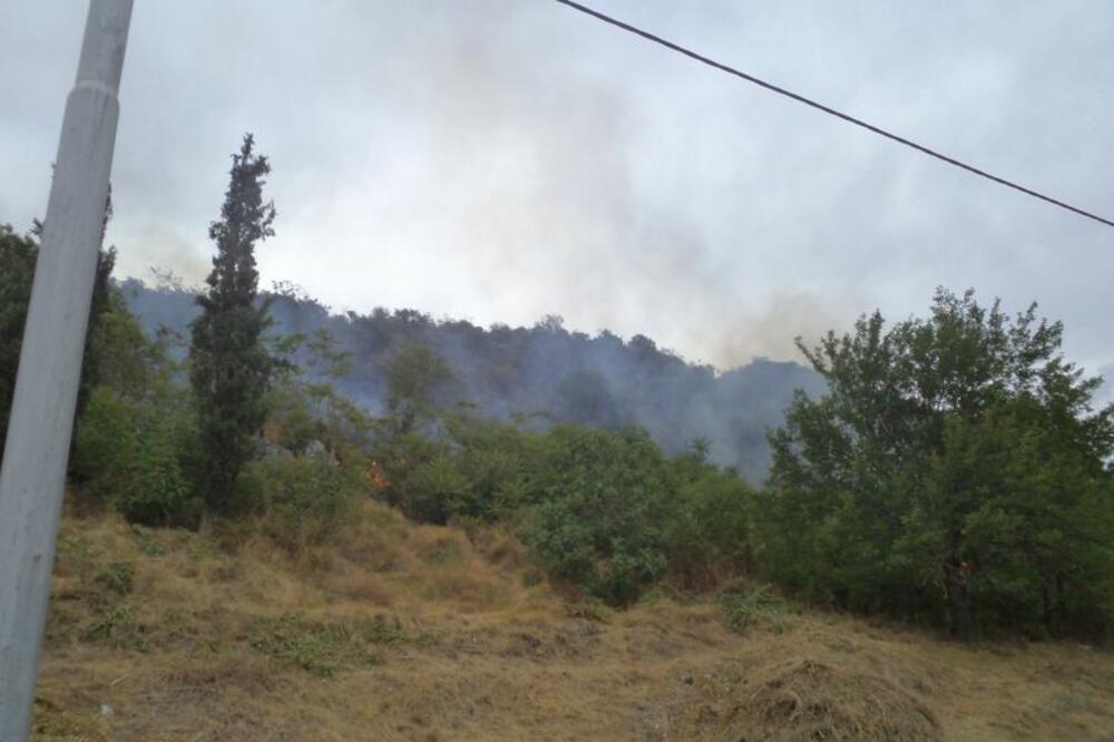 požar Spuška glavica, Foto: Jelena Jovanović