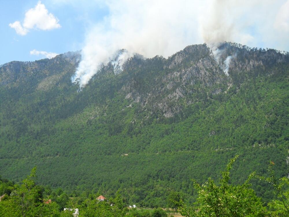 Požar Mojkovac, Đurđevića Tara