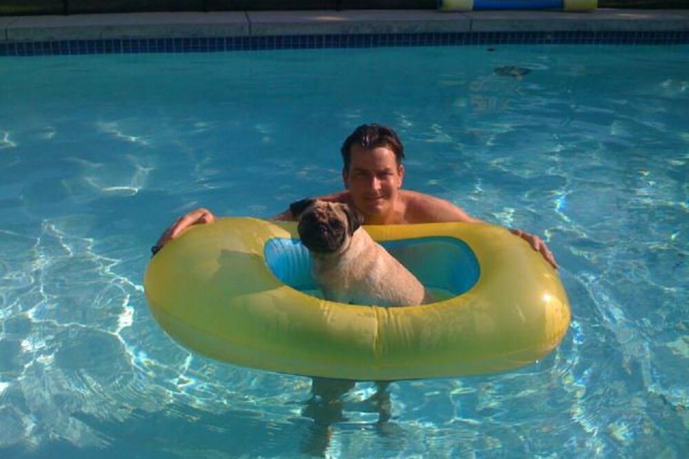 Čarli Šin, Foto: Facebook