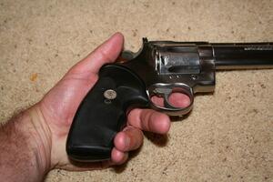 Policija od Baranina oduzela dva pištolja i šest metaka