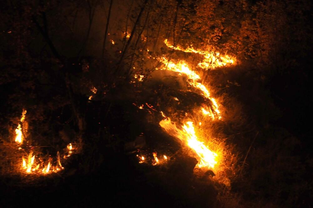 požar, Foto: Luka Zeković