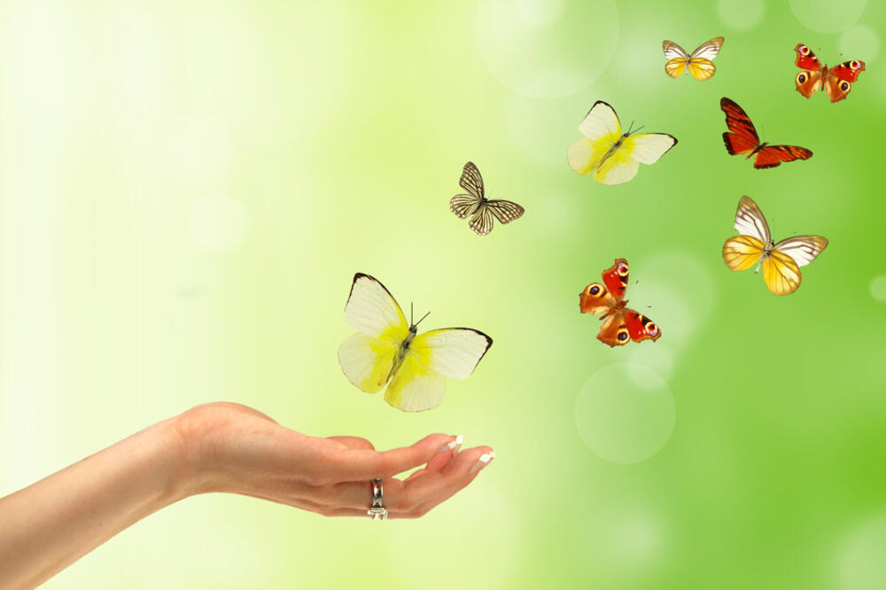 optimizam, Foto: Www.shutterstock.com