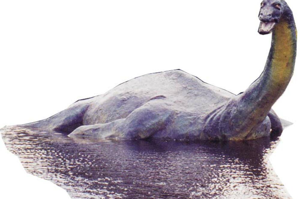 Монстры в озерах. Озеро Лохнесс и Лохнесское чудовище. Лохнесское чудовище в Шотландии. Плезиозавр озеро Лохнесс. Несси Лохнесское чудовище.
