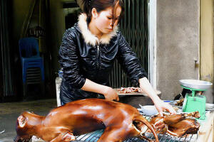 U Kini jedu pse, ali ih i sjeckaju i kuvaju pred gostima