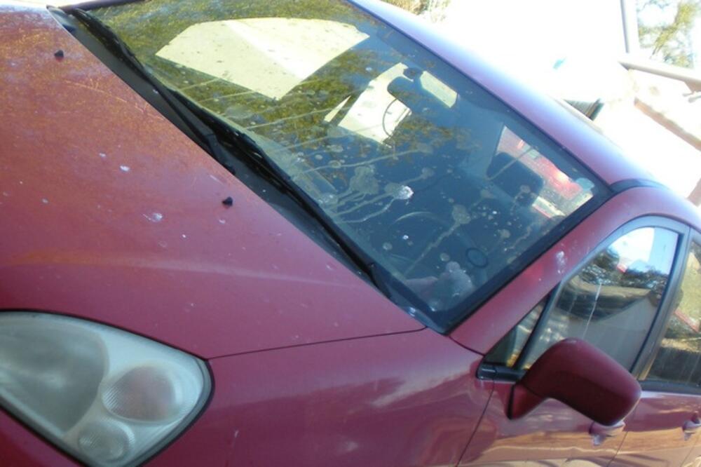 automobil, ptičiji izmet, Foto: Hot995.com