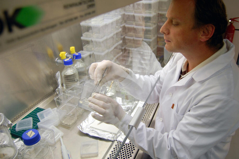 Ptičiji grip, Foto: Beta