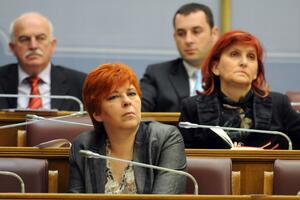 Sve veći broj žena u parlamentu