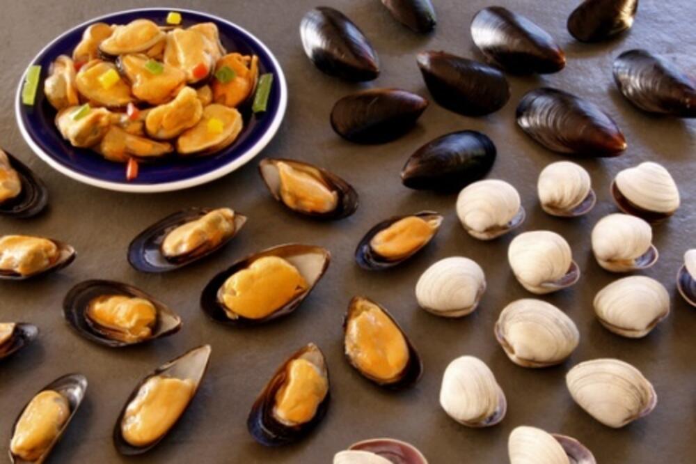 Školjke, Foto: Food-info.net