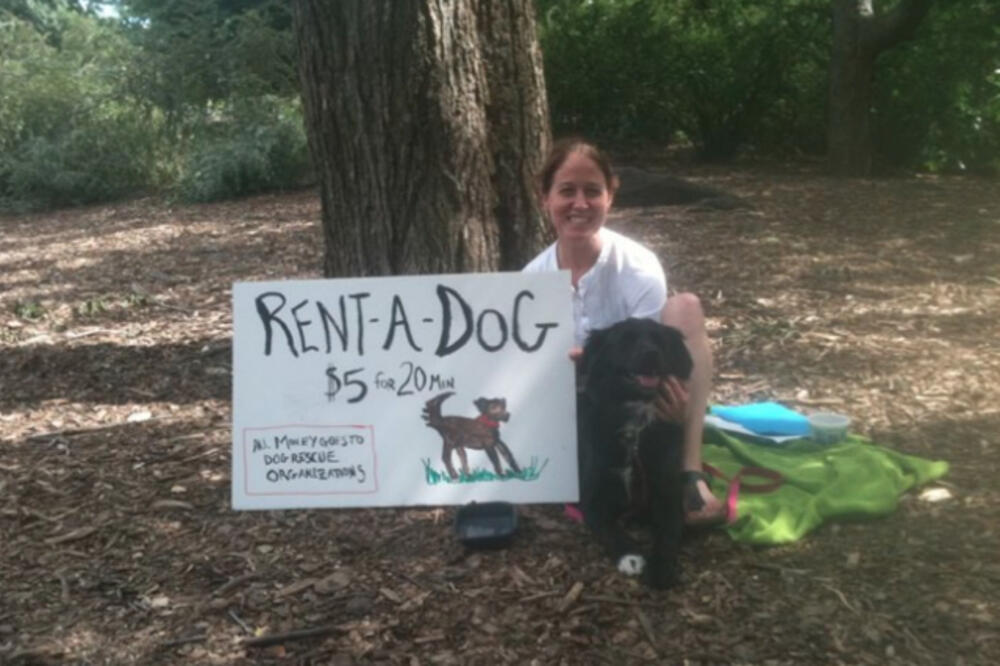 Očo pas, Foto: Dnainfo.com