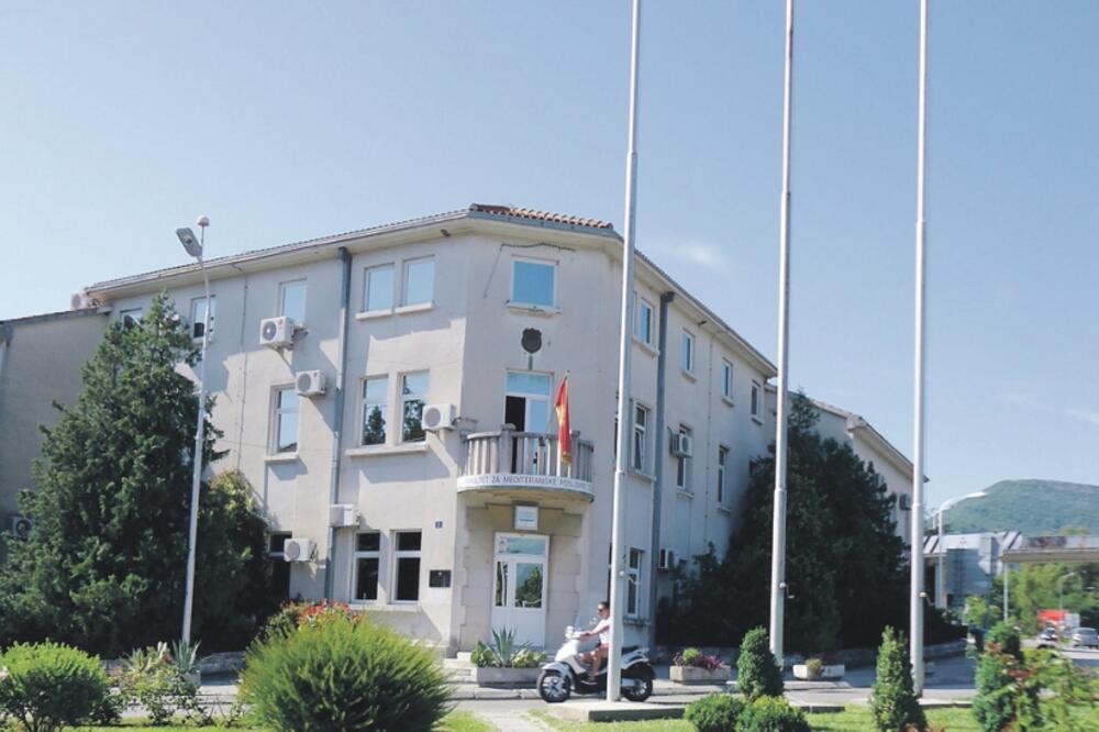 Fakultet za mediteranske poslovne studije, Foto: Siniša Luković