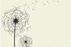 Završen Underhill: “Sjutra” i “Marijine” dobili maslačke