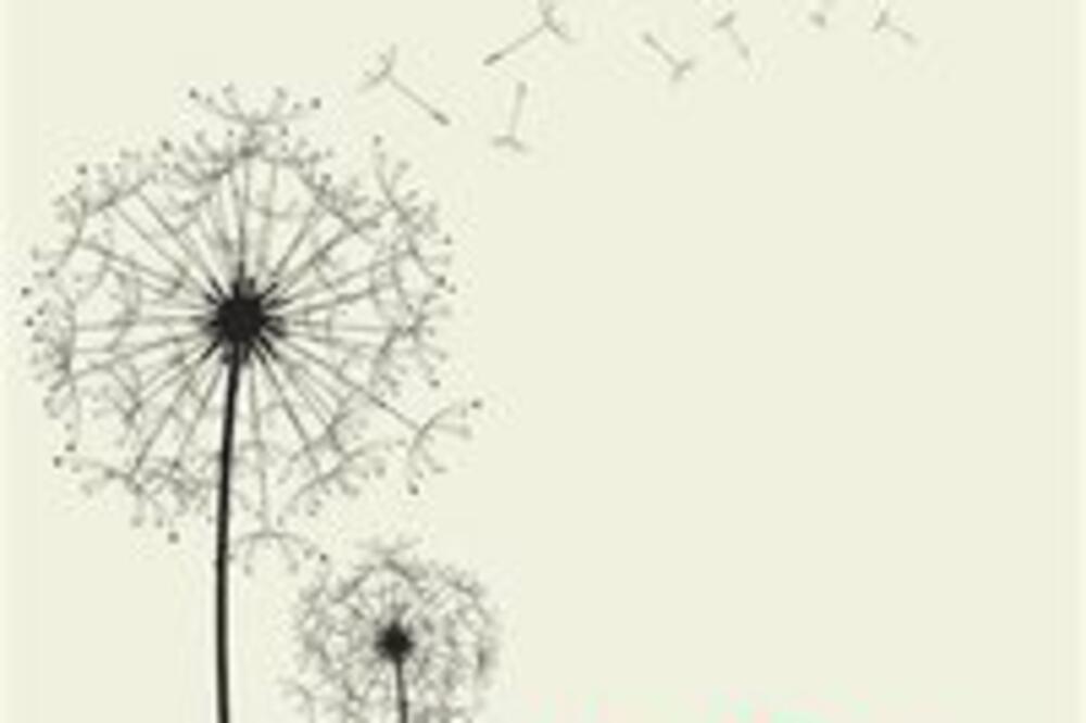 underhill, Foto: Facebook