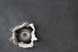 O slobodnom pristupu informacijama će se još pričati