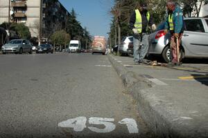 Otrovan najpoznatiji pas Podgorice - omiljeni Medo