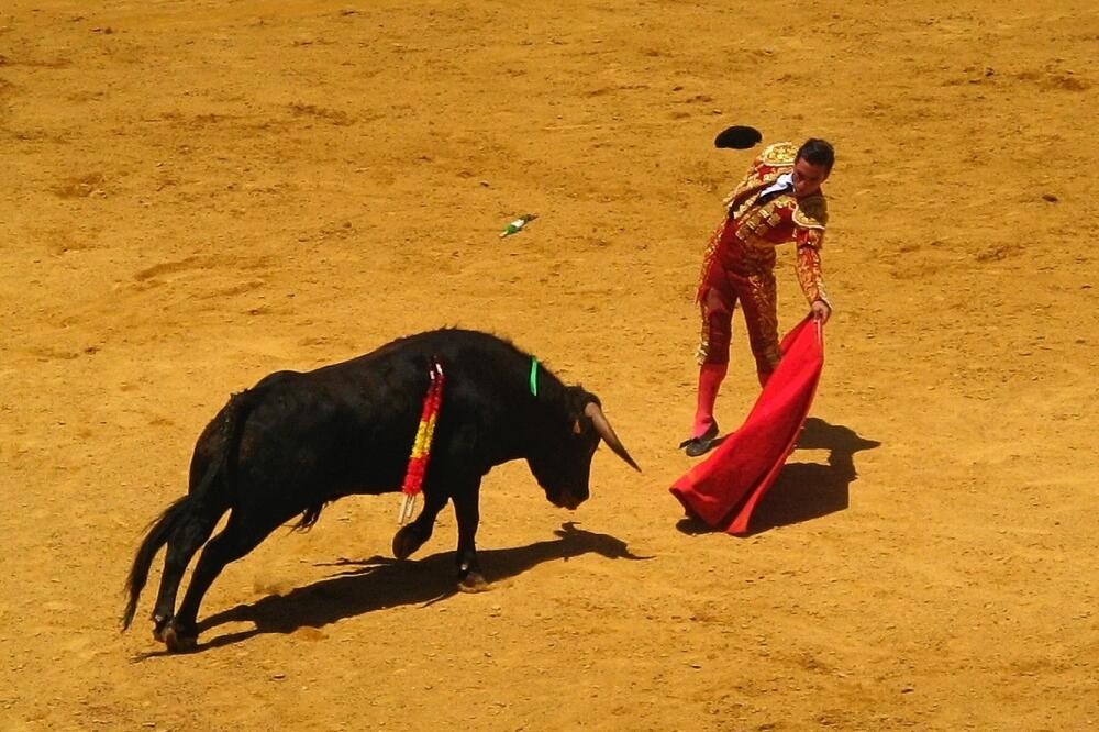 Korida, Španija, Foto: AP