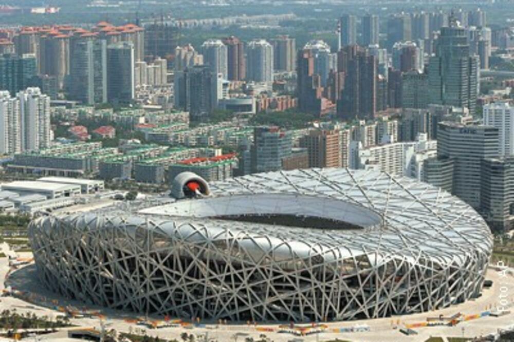 Ptičije gnjezdo, Foto: Pressonline.rs