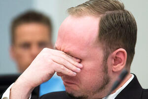 Traži se cimer za Brejvika