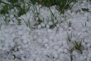 Grad uništio voće i povrće u Crmnici