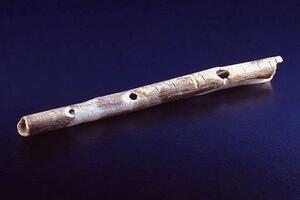 Pronađeni muzički instrumenti stari više od 40.000 godina