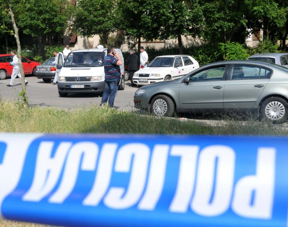 Nevena Stojović, Goran Babić