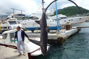 Jutarnje iznenađenje: U mreži ulovio morsku lisicu