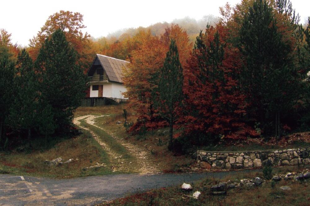 vikendica, Studeno, Foto: Jelena Jovanović