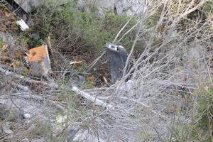 Majka Branislava Lopičića: Sina su mi ubili, pa zapalili