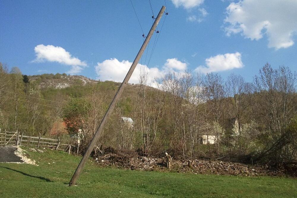 Timar, Foto: Čitalac reporter