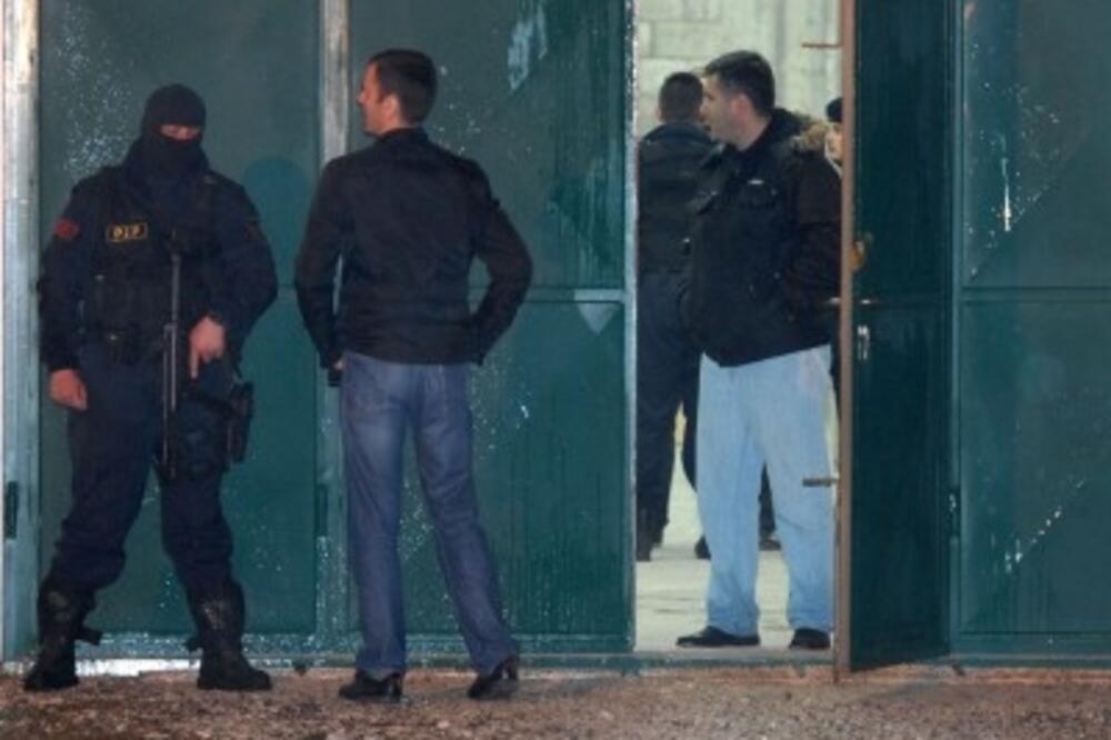 koka_1, Foto: Zoran Đurić