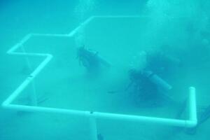 U Saudijskoj Arabiji napravljena prva džamija pod vodom