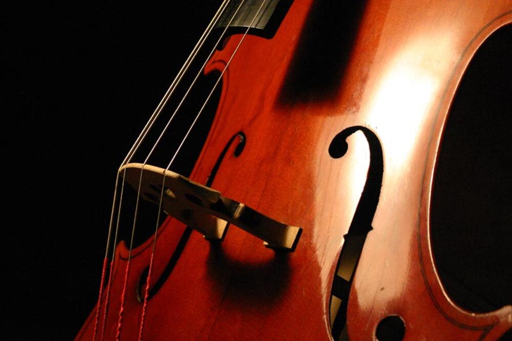 Violončelo, Foto: Musicalads.co.uk