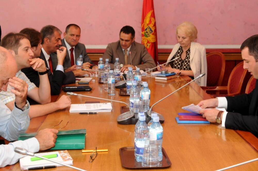 odbor za ekonomiju, Foto: Boris Pejović