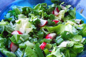 Šarena proljećna salata