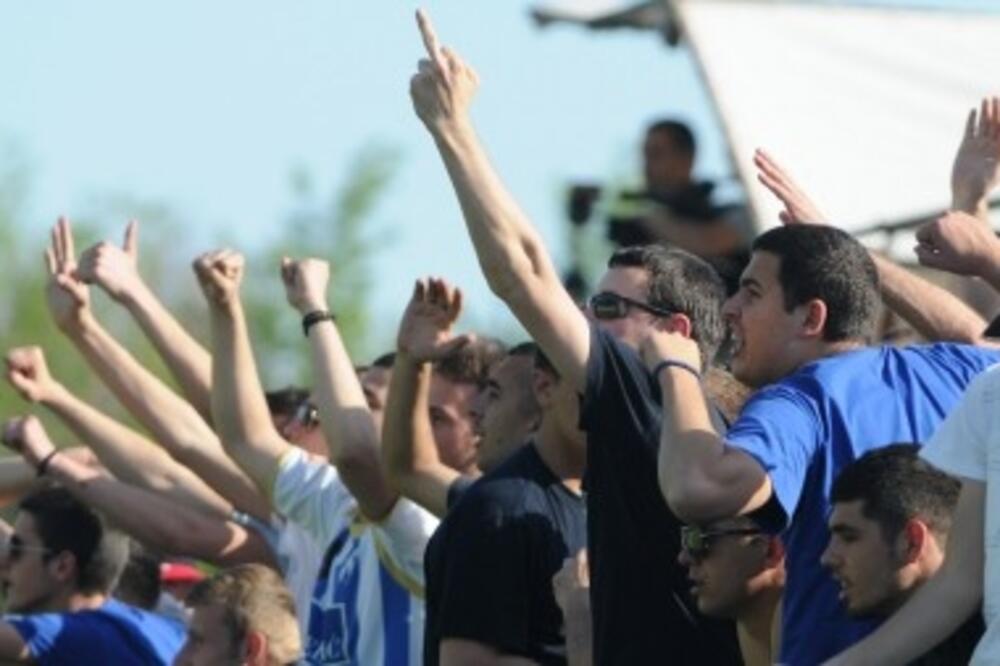 Mijo_3, Foto: S.PRELEVIĆ