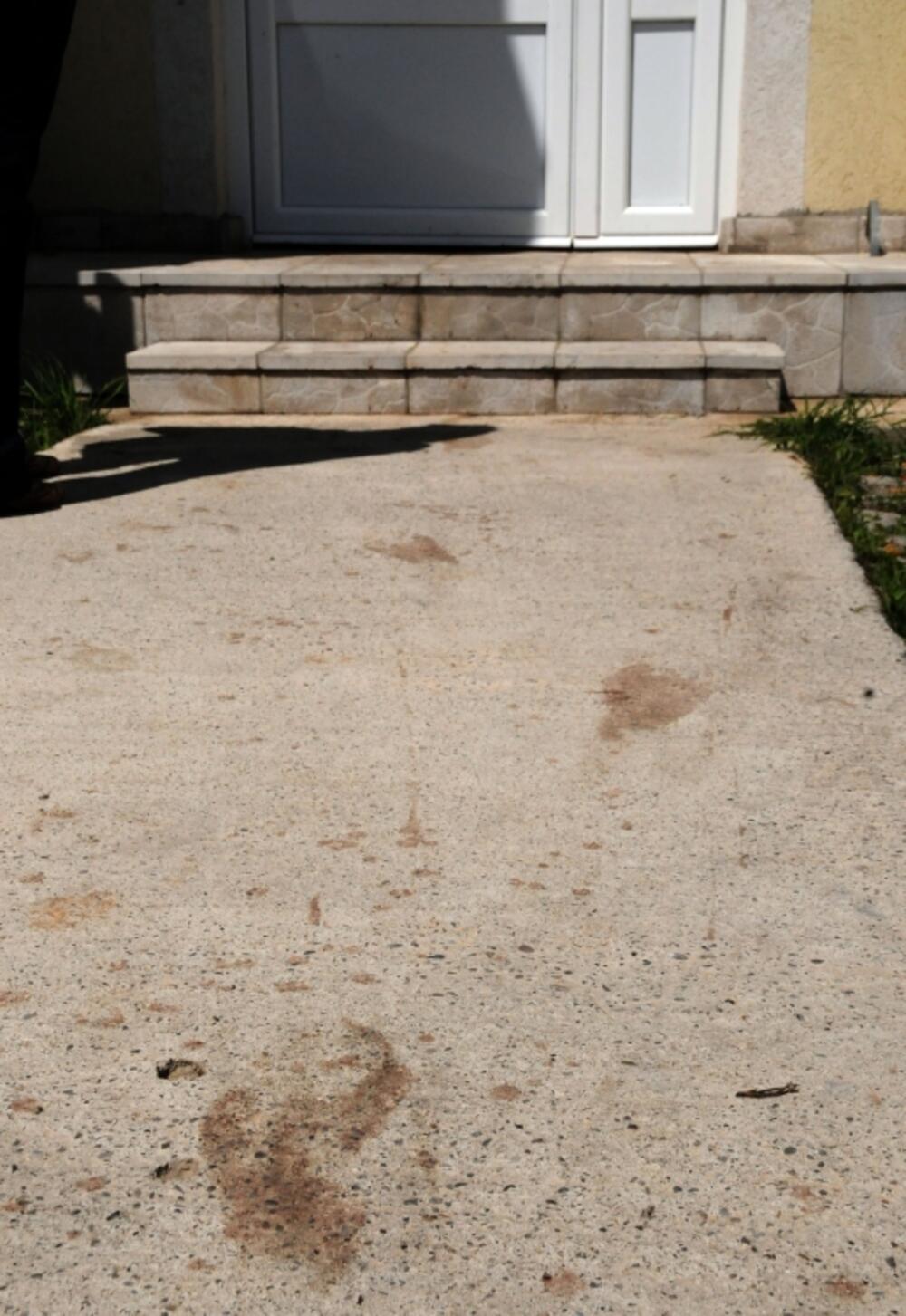 Radmilo Mitrović Zagorič