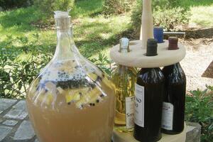 „Frutagra” za zdravlje i potenciju