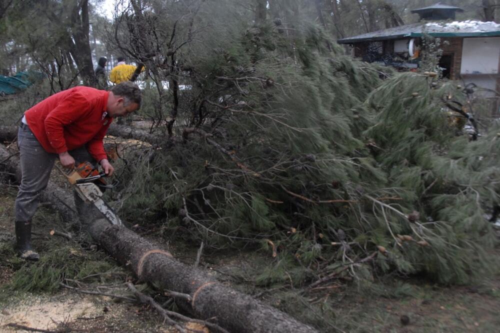 Tološka šuma, Tološi, nevrijeme, Foto: Zoran Đurić