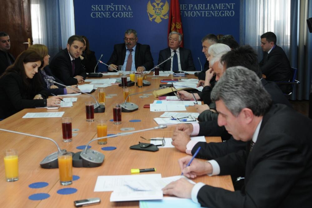 Odbor za ustavna pitanja, Foto: Savo Prelević