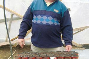 Koktel iz domaće kuhinje: Kolašinska vodnjica za užitak i lijek