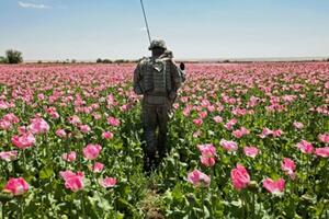Vojnici SAD pod istragom da su u Avganistanu prodavali drogu