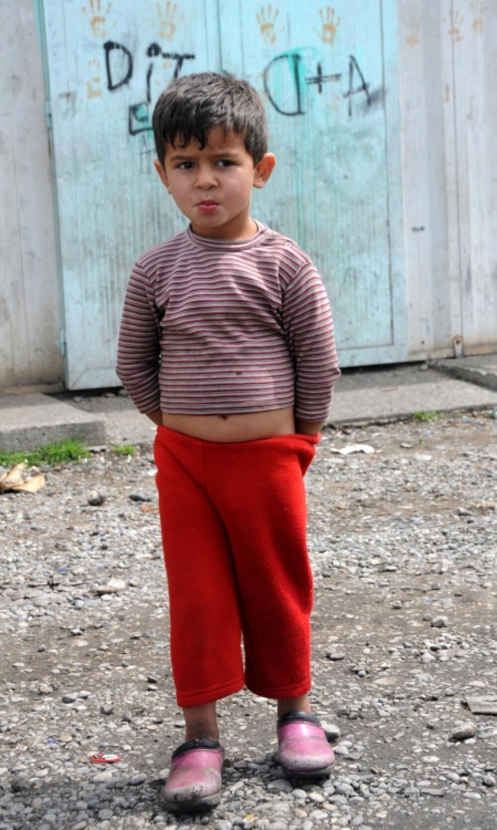 Vrela ribnička, djeca