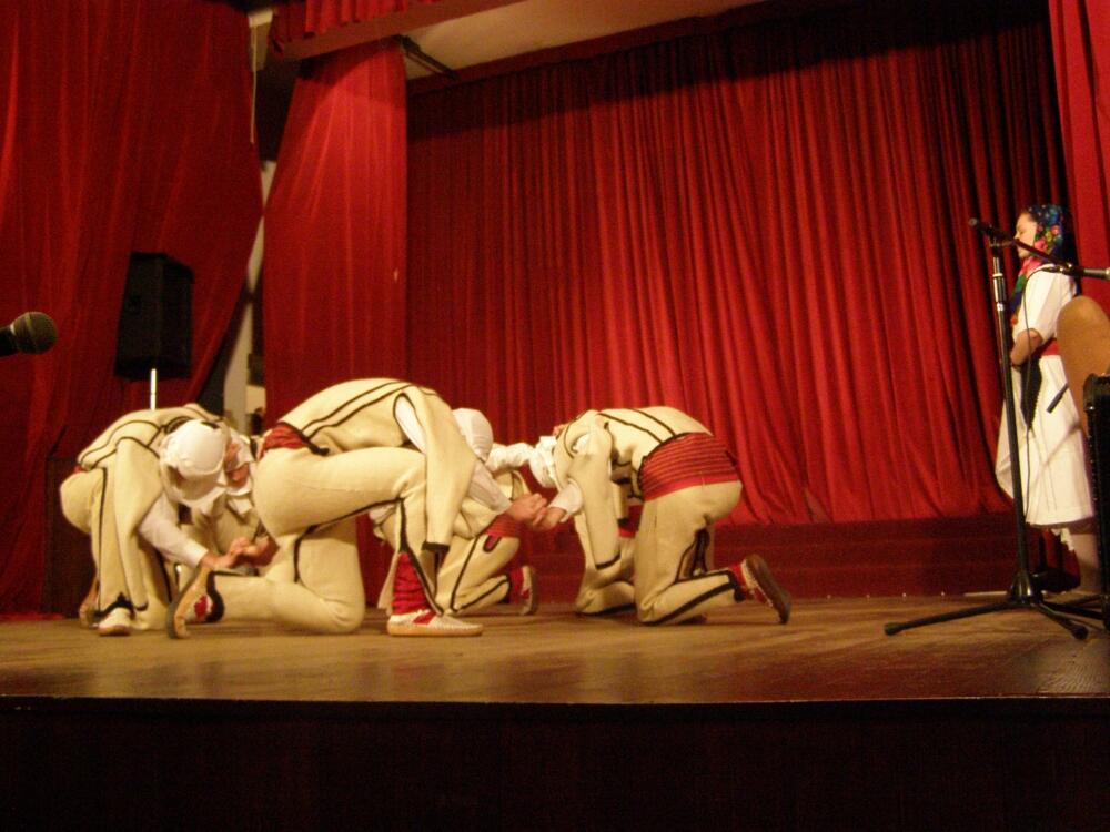 godišnji koncert, Danilovgrad