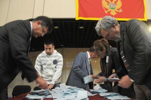 Herceg Novi: Rezultati komisije se podudaraju sa stranačkim