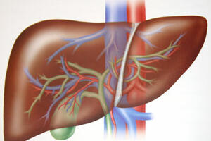 Ne pijete alkohol, a uništavate jetru