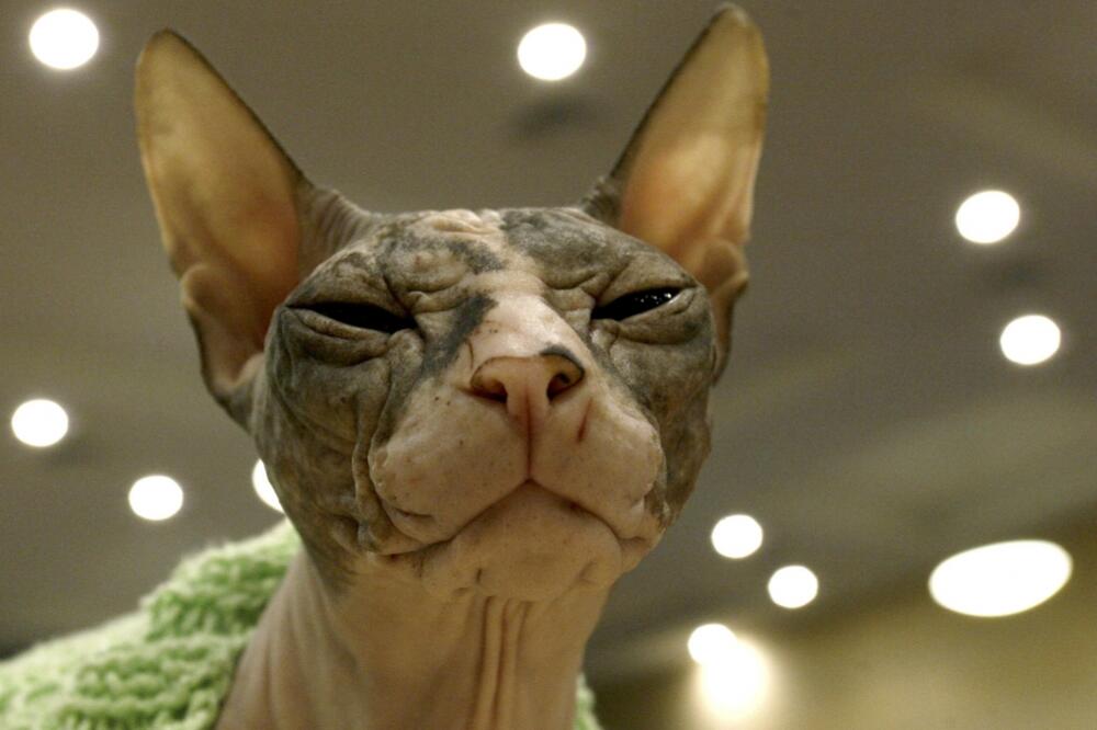 DON MACKA, Foto: Rojters